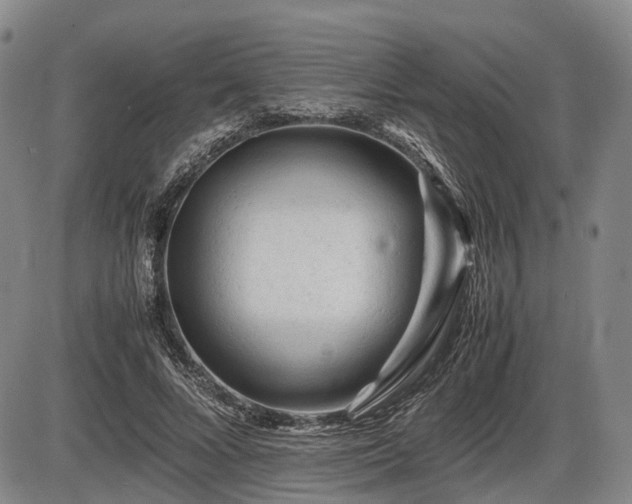 X0000086060688200703301041