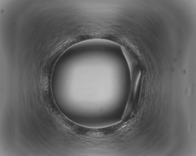 X0000086060689200703301041