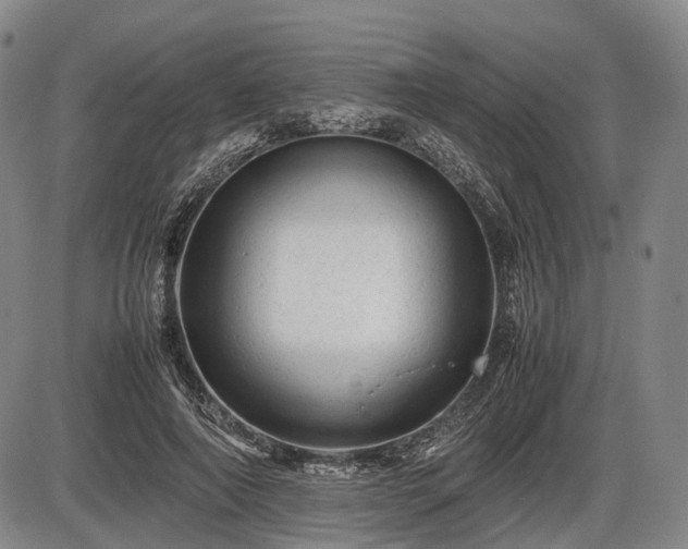 X0000086060690200703301041