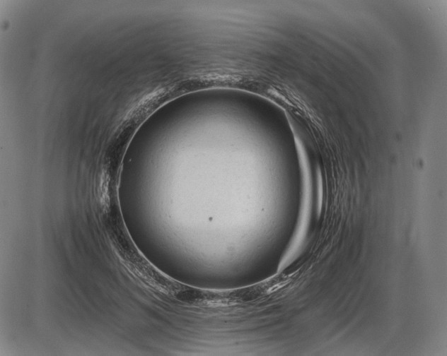 X0000086060692200703301041