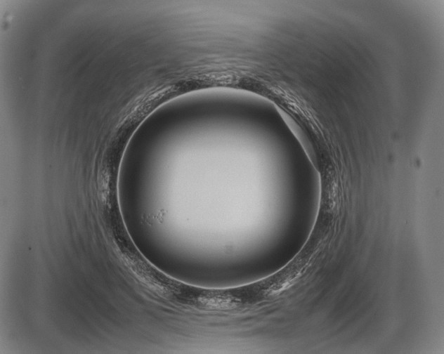 X0000086060693200703301041