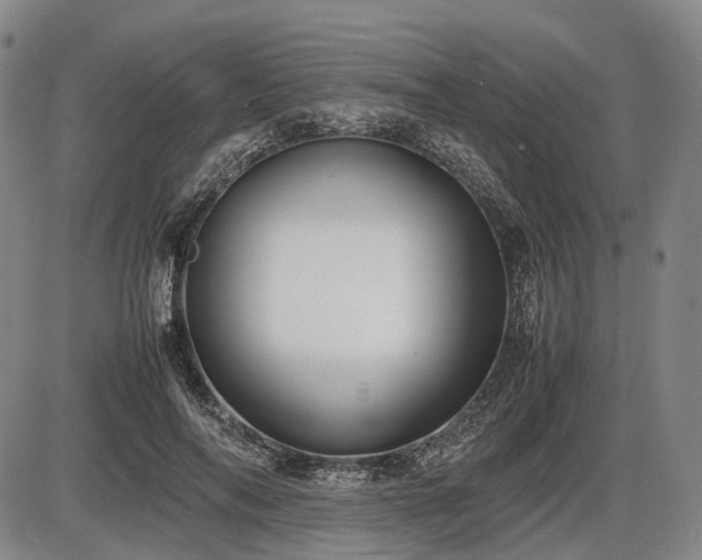 X0000086060694200703301041