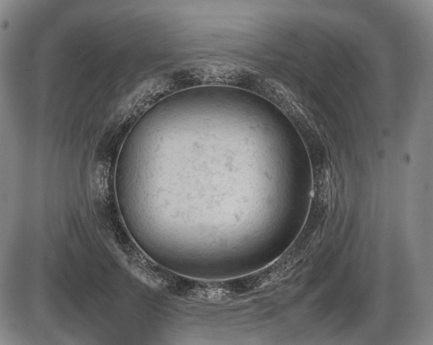 X0000086060695200703301041