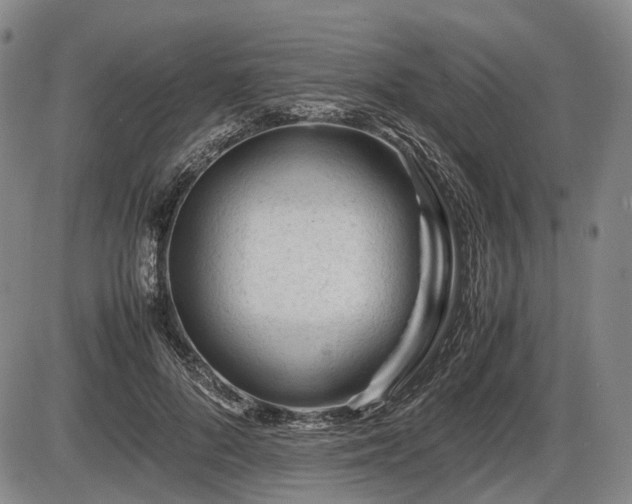 X0000086060696200703301041