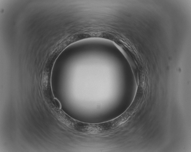 X0000086060697200703301041