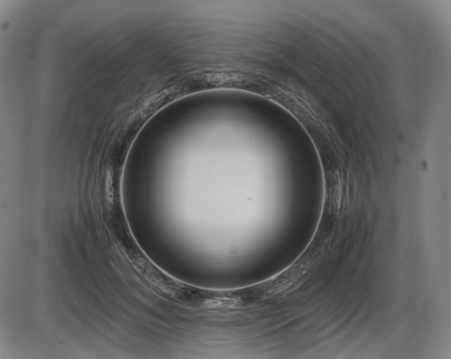 X0000086060700200703301041