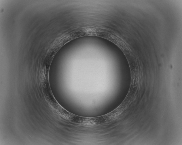 X0000086060702200703301041