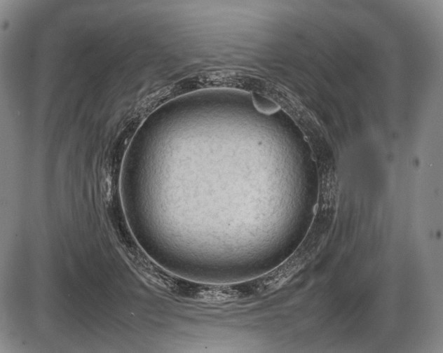 X0000086060703200703301041