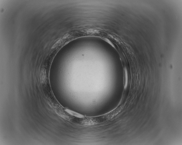 X0000086060704200703301041