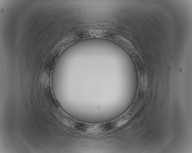 X0000086060705200703301041