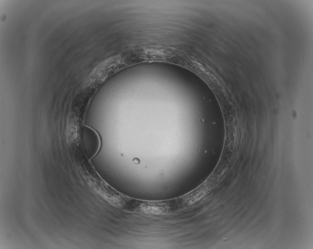 X0000086060706200703301041