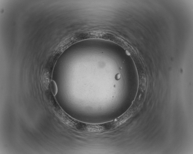 X0000086060707200703301041