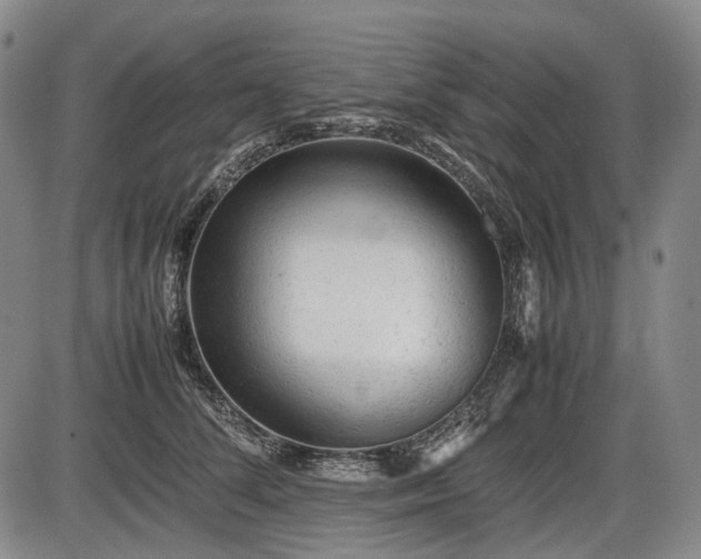 X0000086060708200703301041