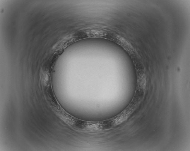 X0000086060709200703301041