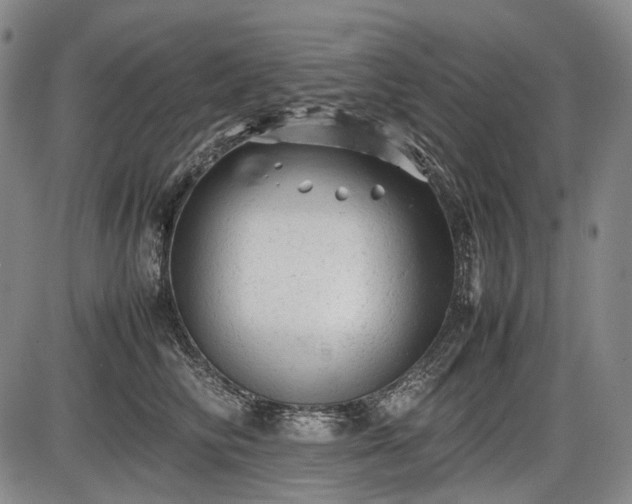 X0000086060710200703301041