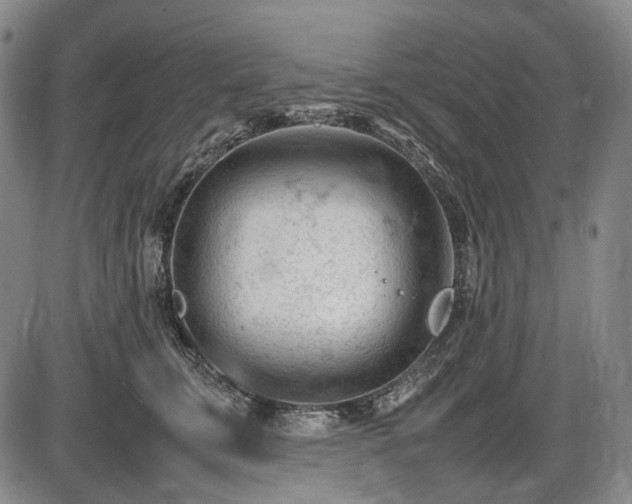 X0000086060711200703301041