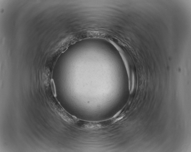 X0000086060712200703301041