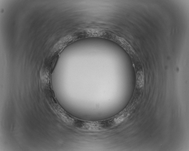 X0000086060713200703301041