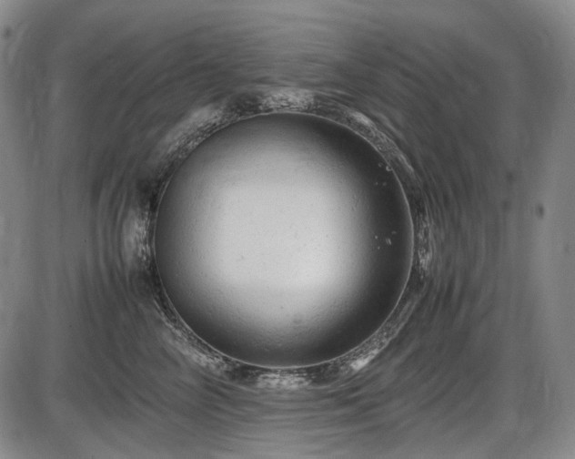 X0000086060714200703301041