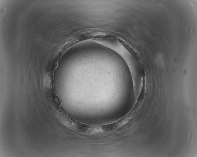 X0000086060715200703301041