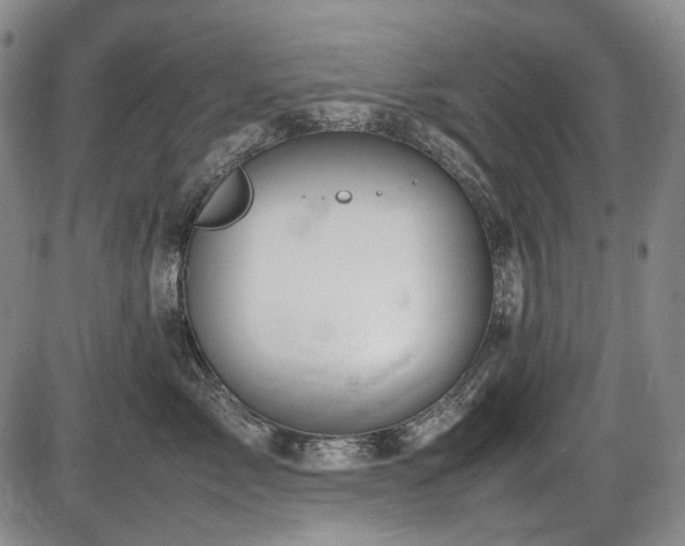 X0000086060717200703301041