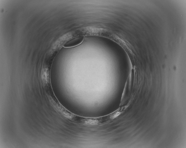 X0000086060718200703301041