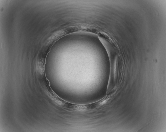 X0000086060719200703301041