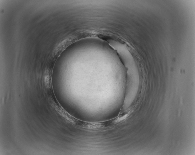 X0000086060720200703301041