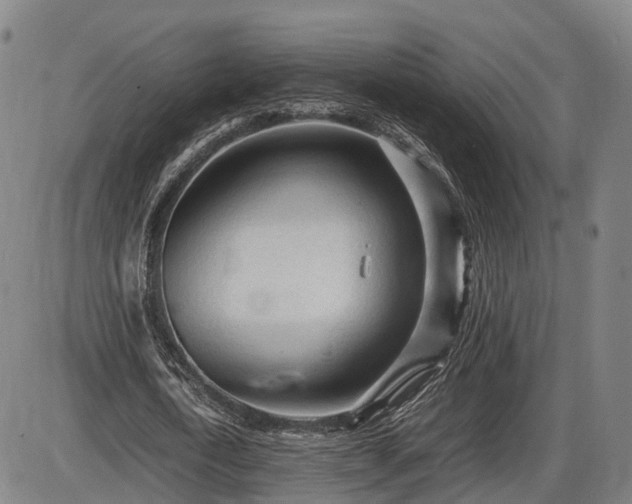 X0000086060722200703301040