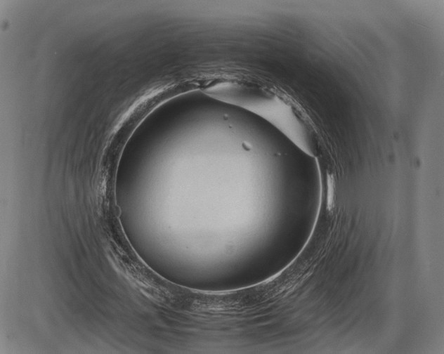 X0000086060723200703301040