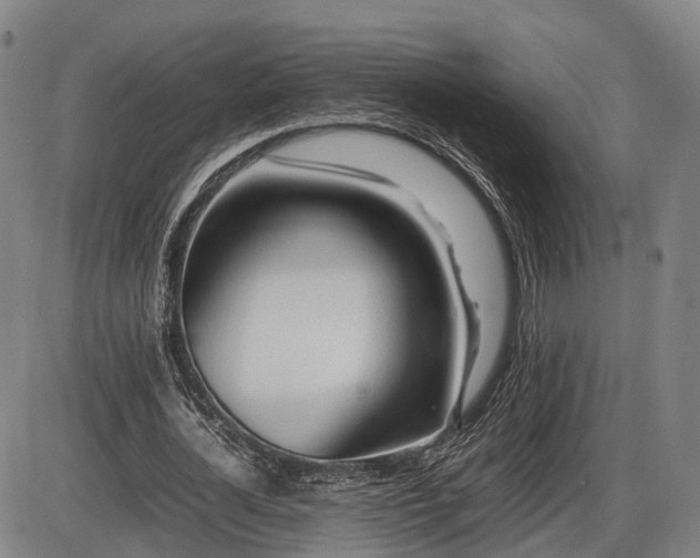 X0000086060724200703301040