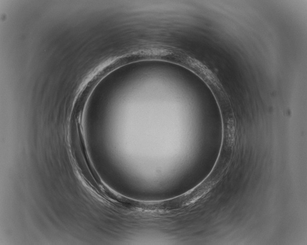 X0000086060726200703301040