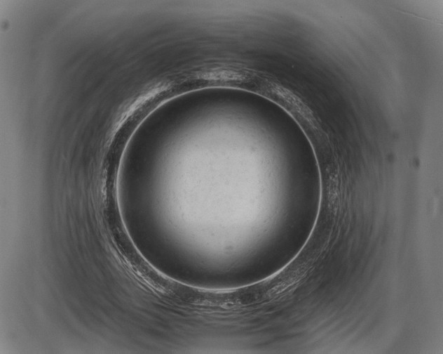 X0000086060727200703301040