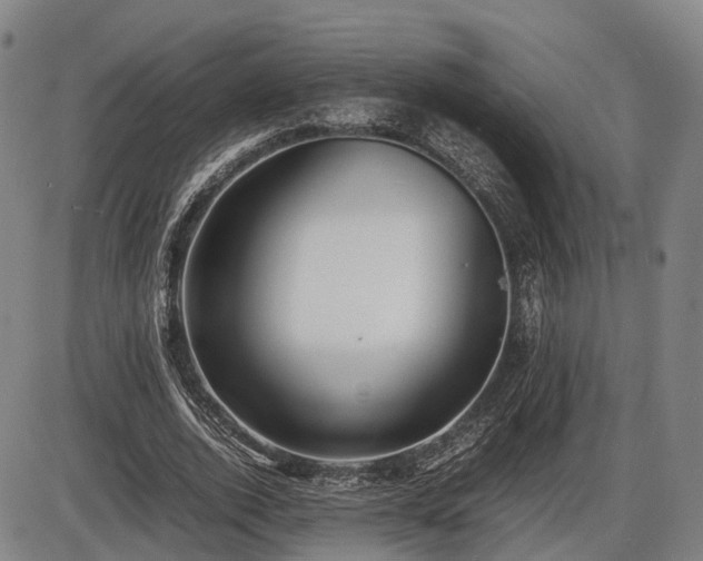 X0000086060728200703301040