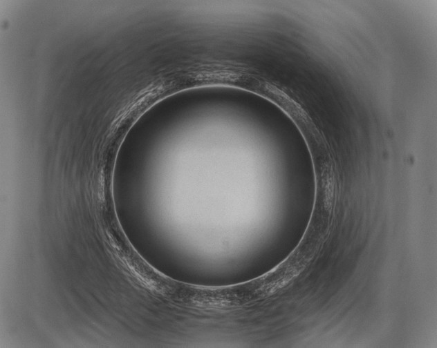 X0000086060729200703301040