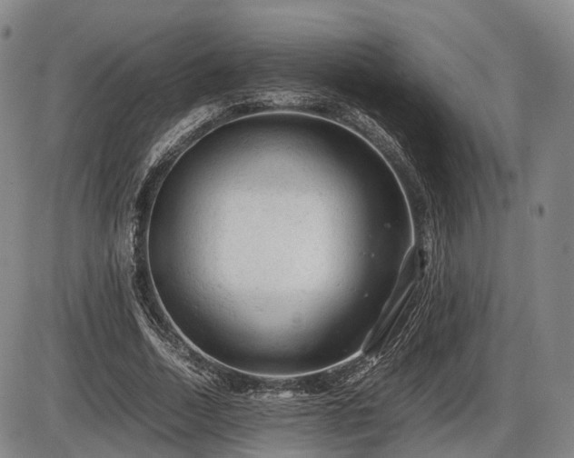 X0000086060730200703301040