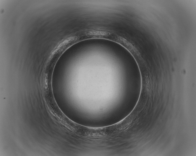 X0000086060731200703301040