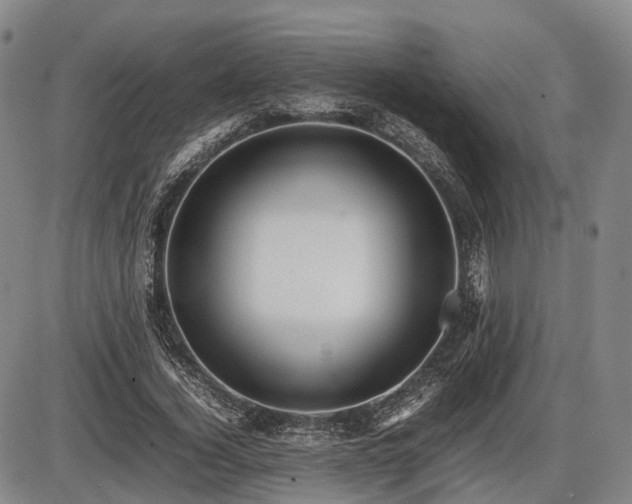 X0000086060732200703301040