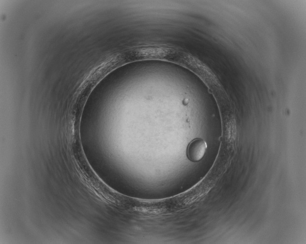 X0000086060733200703301040