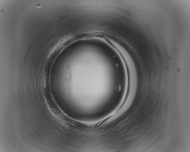 X0000086060734200703301040