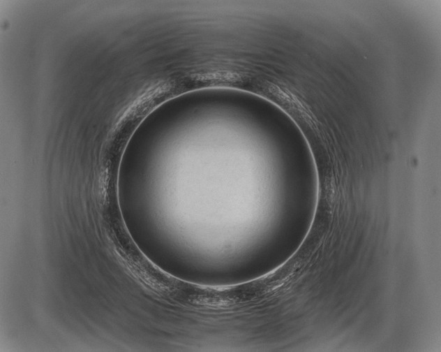 X0000086060735200703301040