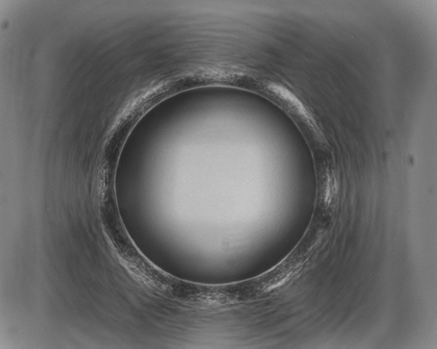 X0000086060736200703301040