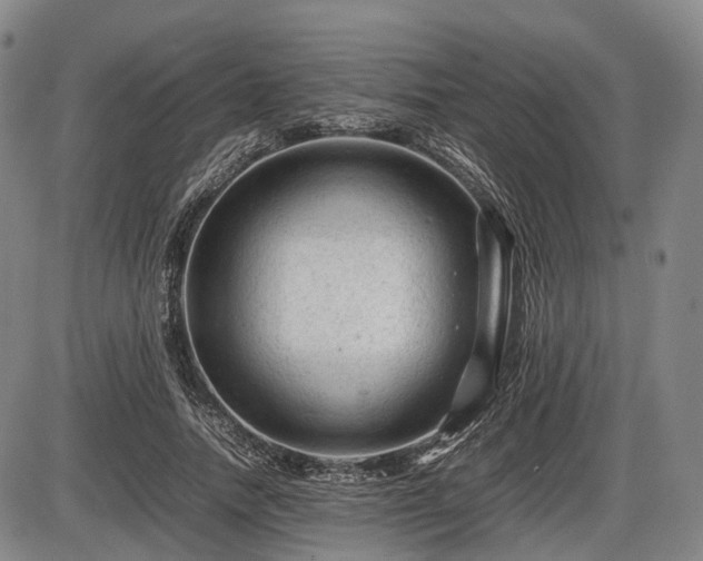 X0000086060738200703301040