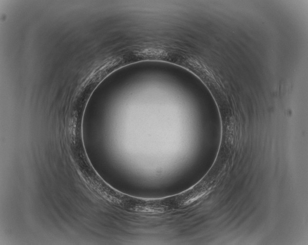 X0000086060739200703301040