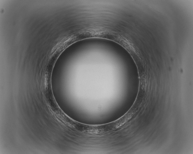 X0000086060740200703301040