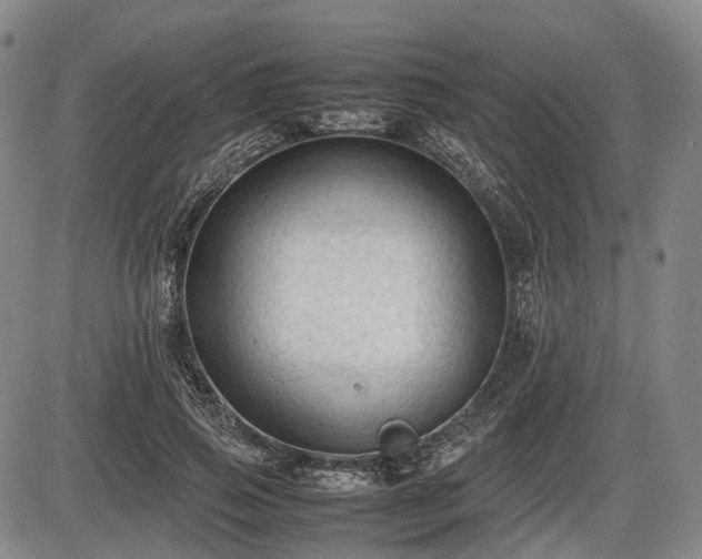 X0000086060741200703301040