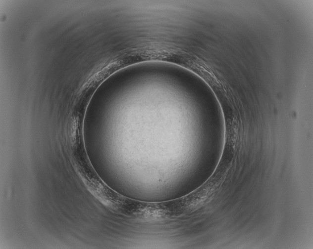 X0000086060742200703301040