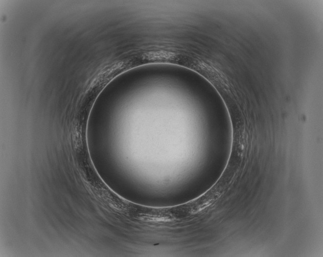 X0000086060743200703301040