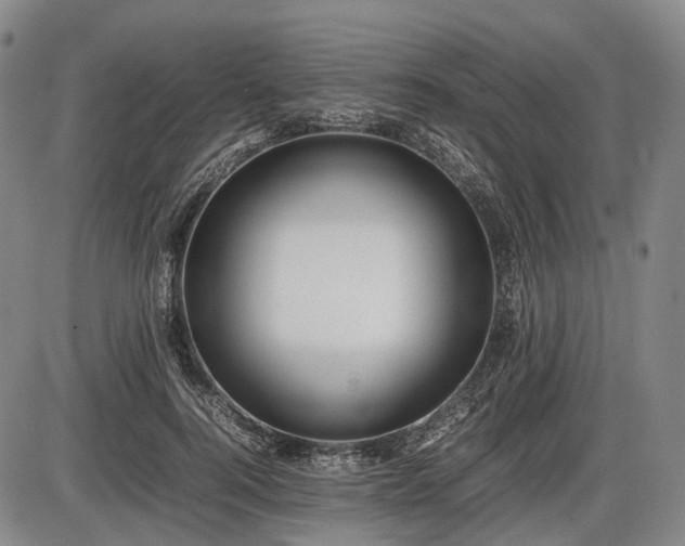 X0000086060744200703301040