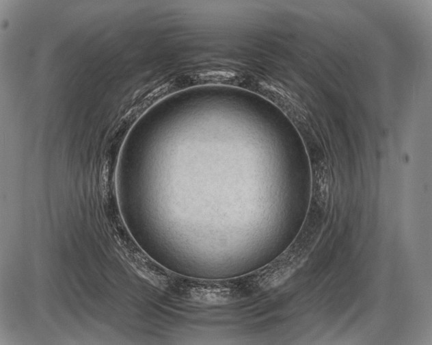 X0000086060745200703301040